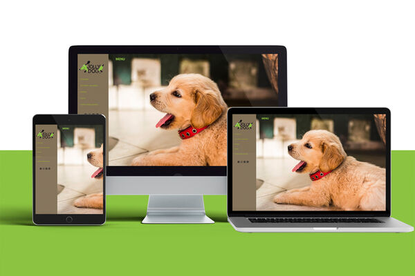 Webdesign značky JOLLY DOG