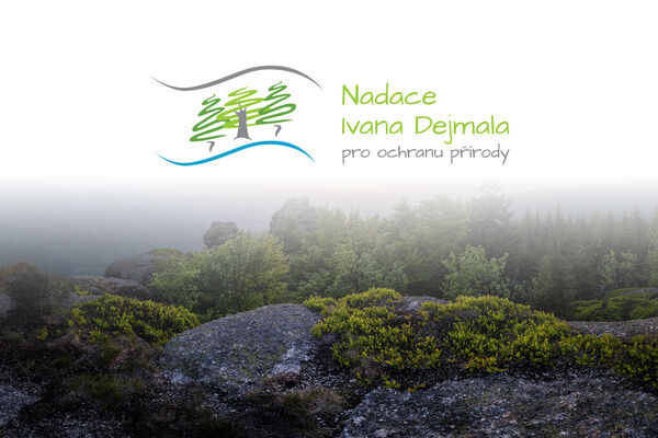 Nadace Ivana Dejmala