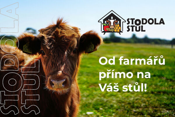 Promo grafika Stodola Stůl