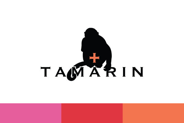 TAMARIN