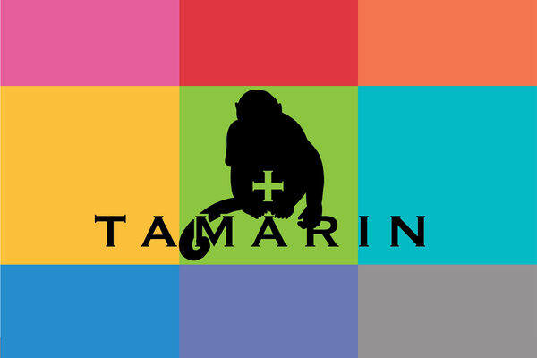 Logo design pro TAMARIN