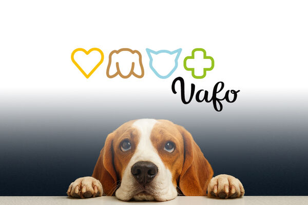 VAFO
