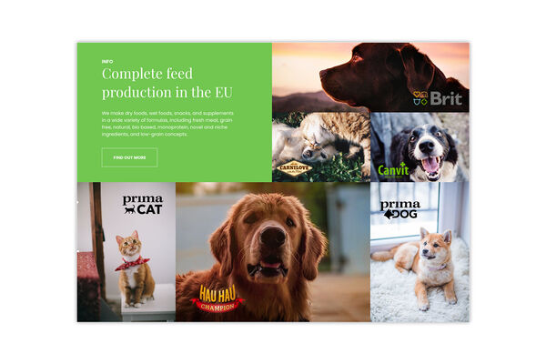 Sociální sítě VAFO – grafika a komunikace